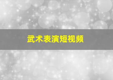 武术表演短视频