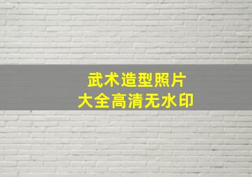 武术造型照片大全高清无水印