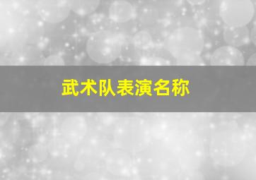 武术队表演名称