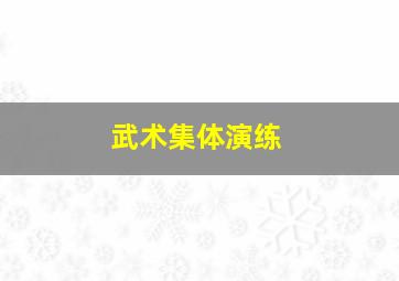 武术集体演练