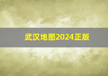 武汉地图2024正版