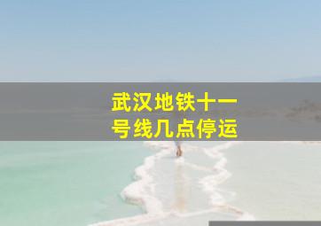 武汉地铁十一号线几点停运