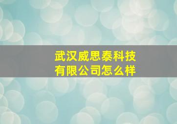 武汉威思泰科技有限公司怎么样