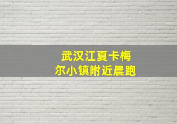 武汉江夏卡梅尔小镇附近晨跑