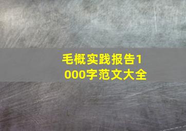 毛概实践报告1000字范文大全