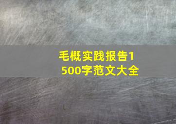 毛概实践报告1500字范文大全