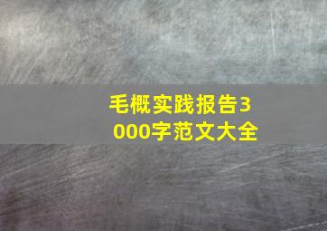 毛概实践报告3000字范文大全