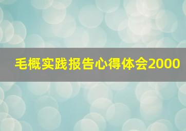 毛概实践报告心得体会2000