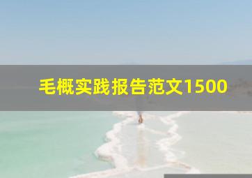 毛概实践报告范文1500