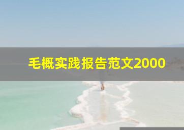 毛概实践报告范文2000