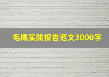 毛概实践报告范文3000字