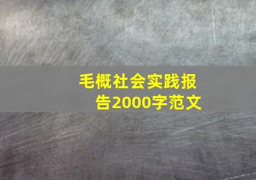 毛概社会实践报告2000字范文