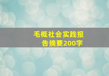 毛概社会实践报告摘要200字