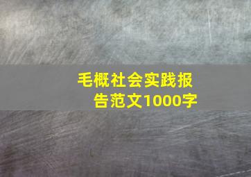 毛概社会实践报告范文1000字