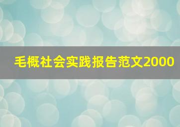 毛概社会实践报告范文2000