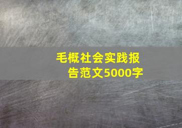 毛概社会实践报告范文5000字