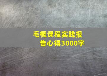 毛概课程实践报告心得3000字