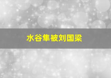 水谷隼被刘国梁