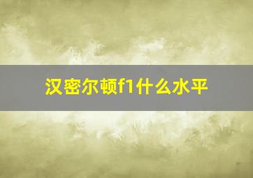 汉密尔顿f1什么水平