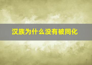 汉族为什么没有被同化