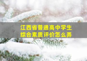 江西省普通高中学生综合素质评价怎么弄