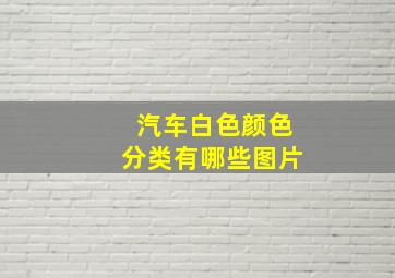 汽车白色颜色分类有哪些图片