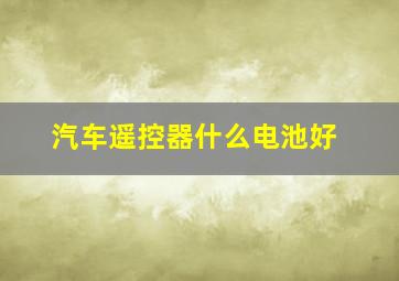 汽车遥控器什么电池好