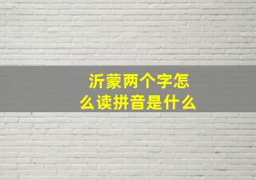 沂蒙两个字怎么读拼音是什么