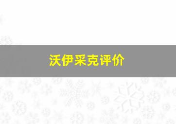 沃伊采克评价