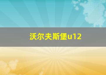 沃尔夫斯堡u12