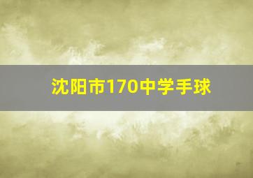 沈阳市170中学手球