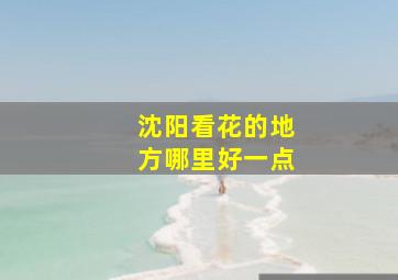 沈阳看花的地方哪里好一点