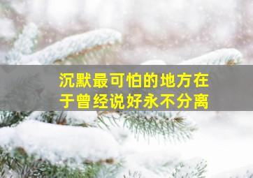 沉默最可怕的地方在于曾经说好永不分离