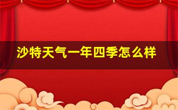 沙特天气一年四季怎么样