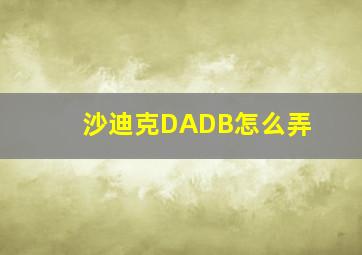 沙迪克DADB怎么弄