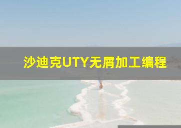 沙迪克UTY无屑加工编程