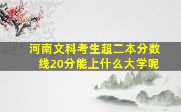 河南文科考生超二本分数线20分能上什么大学呢