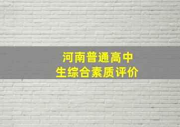 河南普通高中生综合素质评价