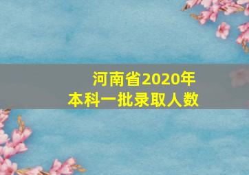 河南省2020年本科一批录取人数