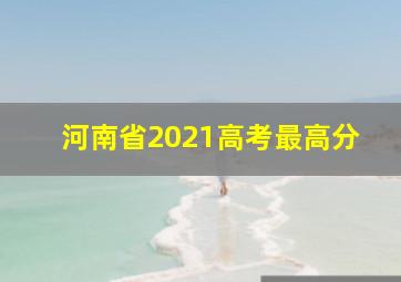 河南省2021高考最高分