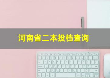 河南省二本投档查询