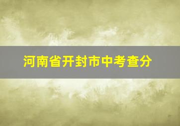 河南省开封市中考查分