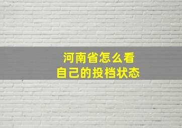 河南省怎么看自己的投档状态