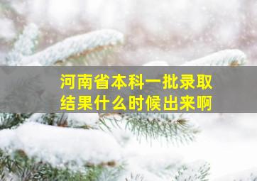 河南省本科一批录取结果什么时候出来啊