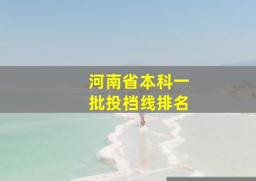 河南省本科一批投档线排名