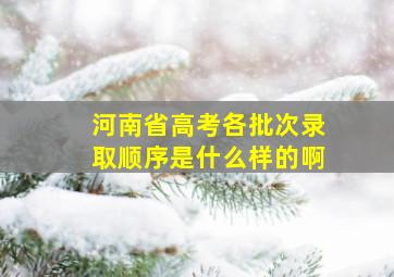 河南省高考各批次录取顺序是什么样的啊