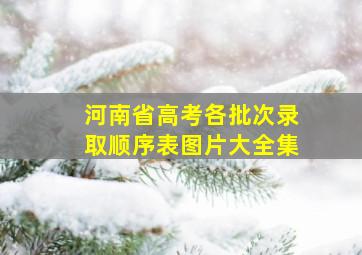 河南省高考各批次录取顺序表图片大全集