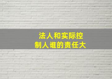 法人和实际控制人谁的责任大