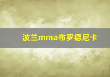 波兰mma布罗德尼卡