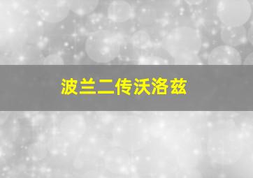 波兰二传沃洛兹